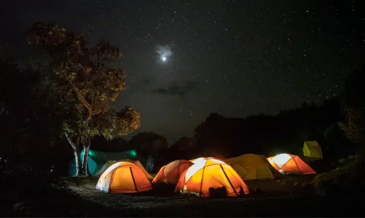 CELEBRA EL DÍA MUNDIAL DE LA MUJER CON PROPÓSITO