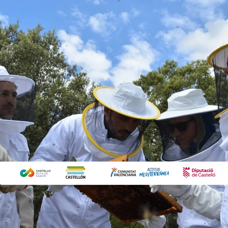 UN VIAJE CULINARIO POR CASTELLÓ RUTA DE SABOR