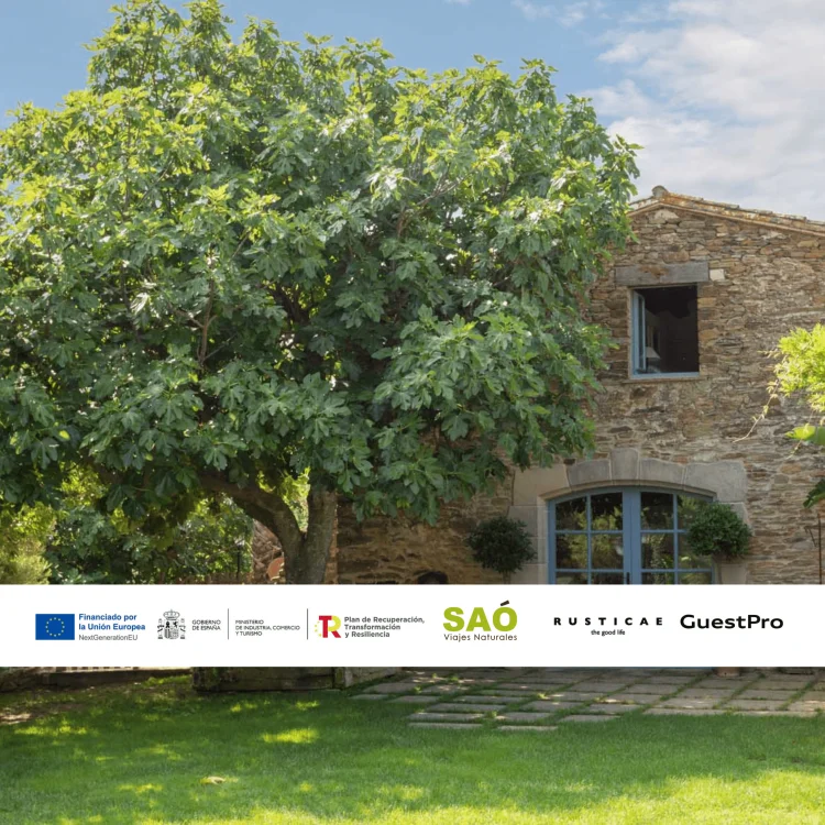 INFRAESTRUCTURA E INNOVACIÓN AMBIENTAL