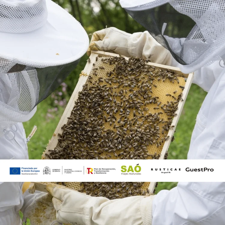 APITURISMO, UNA SINERGIA NATURAL