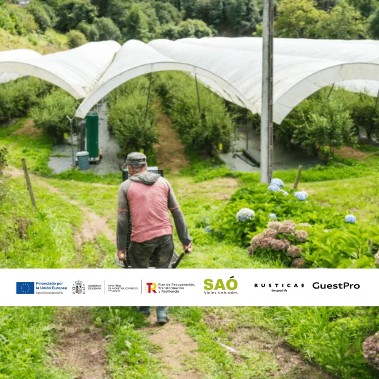 VERANO EN ASTURIAS: TU MEJOR ELECCIÓN