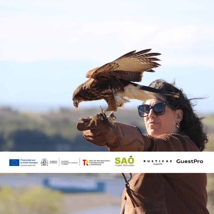 EL ARTE DE LA CETRERÍA EN PALENCIA