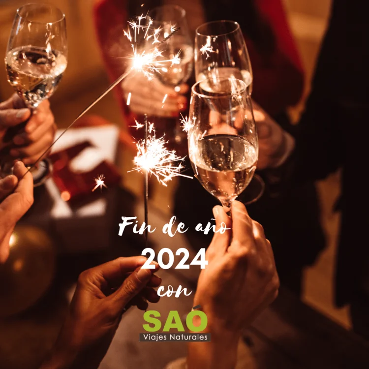 DESPIDE EL AÑO DE MANERA SOSTENIBLE: 4 OPCIONES NATURALES Y COMPROMETIDAS CON LOS VALORES DE SAÓ Viajes Naturales