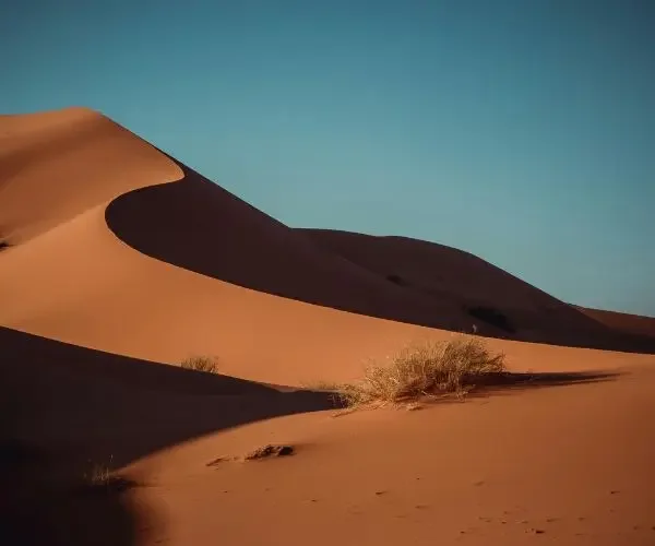 Marruecos: el despertar de los sentidos entre el Atlas y el Sahara