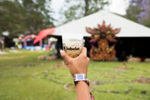 festivales-ecologicos-vasos
