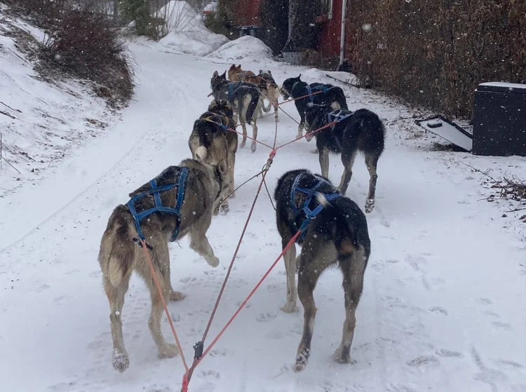 SUSTAINABLE ADVENTOURS IN THE OSLO REGION