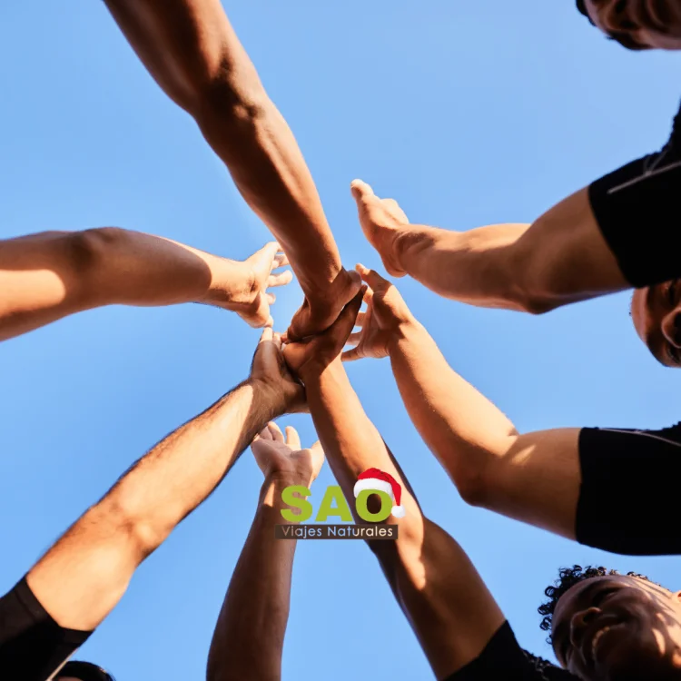 4 OPCIONES DE TEAM BUILDING CON VALORES SOSTENIBLES CON SAÓ VIAJES NATURALES