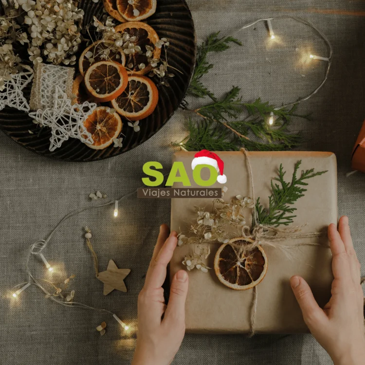 5 IDEAS PARA REGALAR CON PROPÓSITO ESTAS NAVIDADES🌿🎁