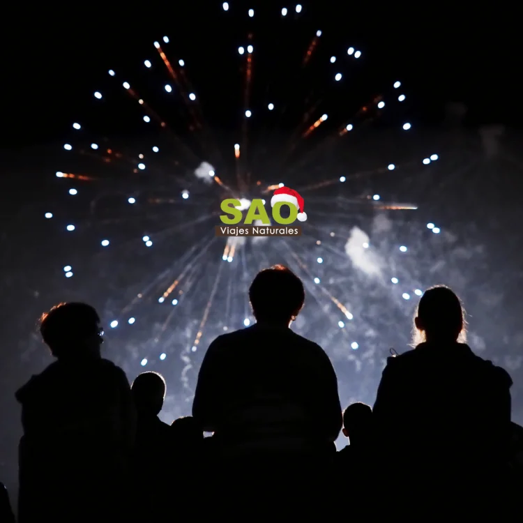 5 CURIOSAS TRADICIONES PARA DESPEDIR EL AÑO EN DIFERENTES PARTES DEL MUNDO🌎🍇