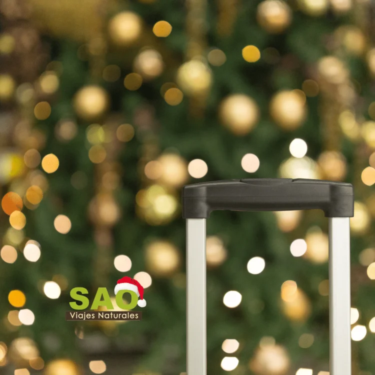 👋🏼¡2024: UN AÑO MÁS DE TRABAJO, APRENDIZAJE, COMPROMISO Y PROPÓSITO!🌿