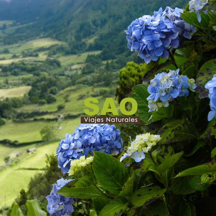 SEMANA SANTA 2025: DESCUBRE DESTINOS ÚNICOS DE LA FORMA MÁS RESPETUOSA Y AUTÉNTICA🌿