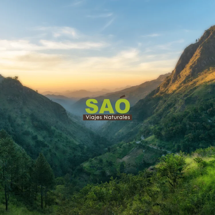 🌿¿POR QUÉ VIAJAR A SRI LANKA ESTA SEMANA SANTA? 5 MOTIVOS QUE HARÁN IRRESISTIBLE ESTE EXÓTICO DESTINO🌍