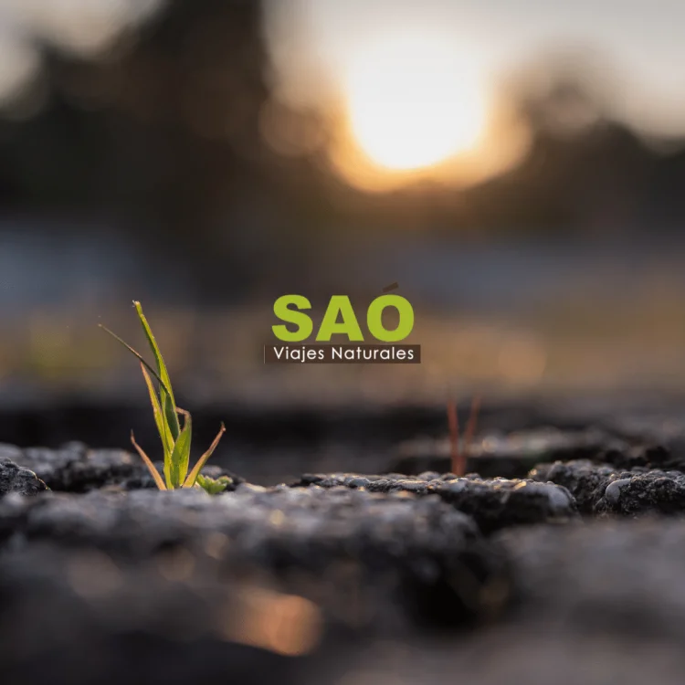 🌱DÍA MUNDIAL DE LA RESILIENCIA DEL TURISMO🌎