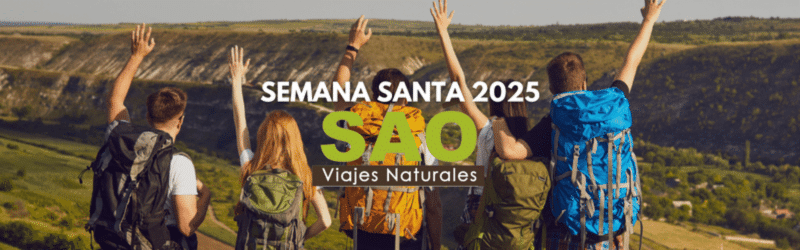 https://saoviajes.es/categoria-producto/semana-santa-2025/