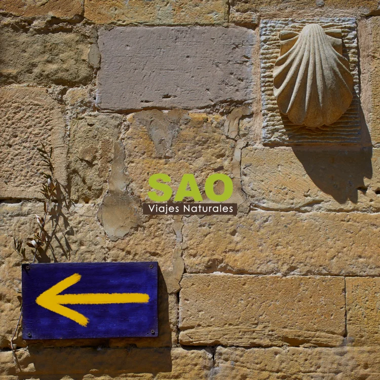 🎒EL CAMINO DE SANTIAGO: UNA AUTÉNTICA EXPERIENCIA PARA CUERPO, ALMA Y MENTE🌿