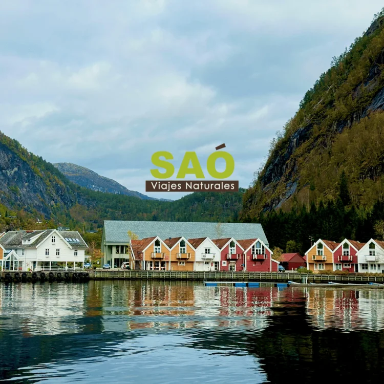 🌞ESCAPA DEL CALOR: DESCUBRE EL NORTE DE EUROPA EN VERANO🍃