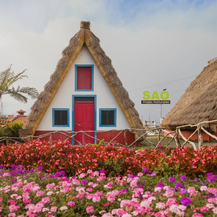 🌿LAS QUINTAS DE MADEIRA, UN REFUGIO ECOLÓGICO 🌞