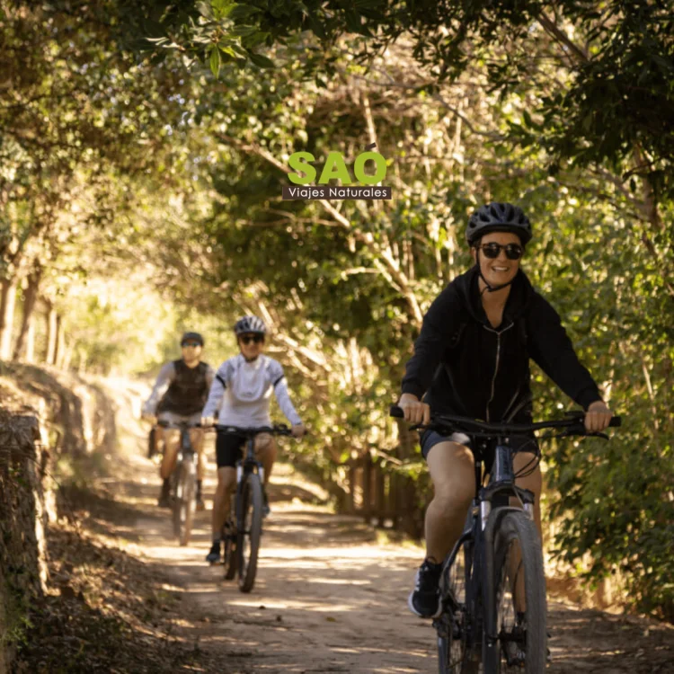 🍇🍷ENOTURISMO Y CICLOTURISMO EN BOCAIRENT: UNA AVENTURA SOSTENIBLE SOBRE RUEDAS🚴‍♂️