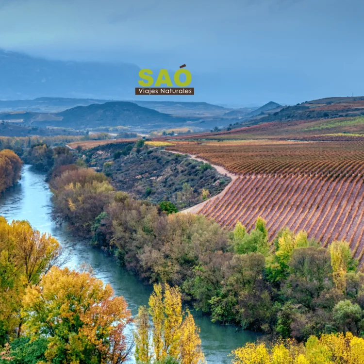 🌿🍇LA RIOJA: REFUGIO DE VINO, BIENESTAR Y SOSTENIBILIDAD🍷🌍