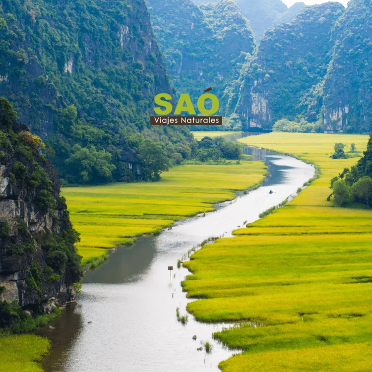 MOTIVOS PARA VISITAR VIETNAM Y CAMBOYA: AVENTURA Y CULTURA INOLVIDABLES🌏✨