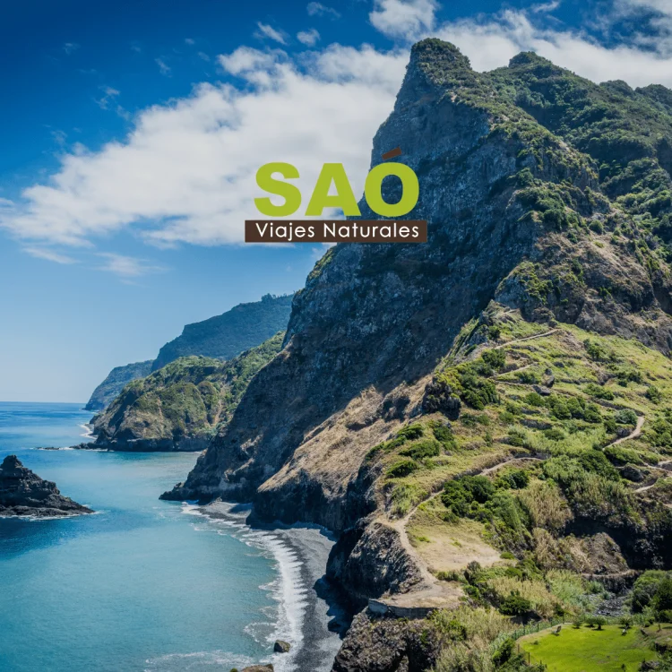 AZORES Y MADEIRA: LAS DOS ISLAS MÁS VERDES DE EUROPA QUE TIENES QUE VISITAR ESTE VERANO🌿✨