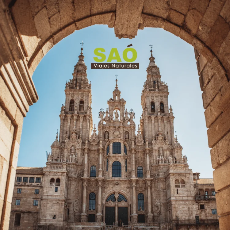 🥾QUÉ LLEVAR AL CAMINO DE SANTIAGO: LA GUÍA DEFINITIVA PARA PREPARAR TU MOCHILA (SIN OLVIDAR LO IMPORTANTE)