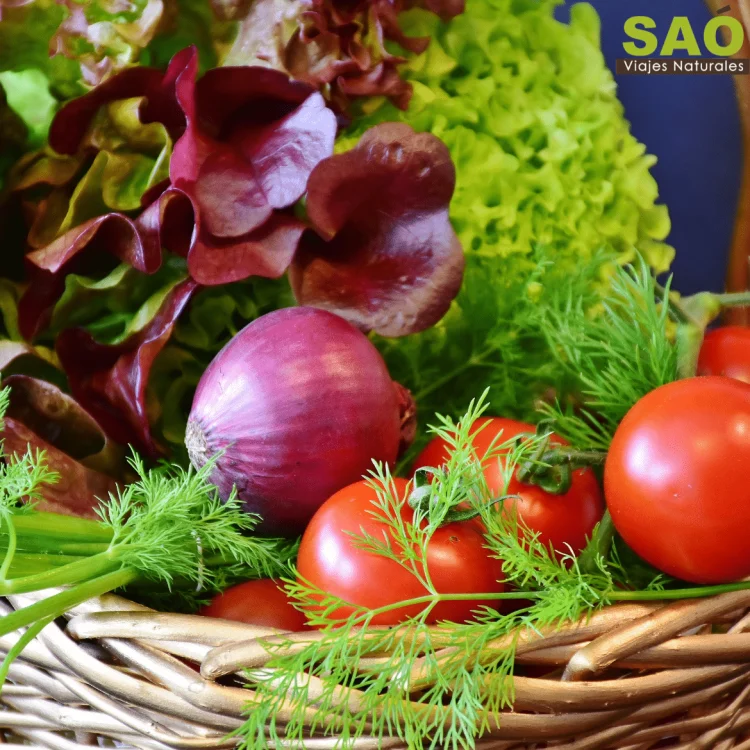 🌱VUELVE A LA TIERRA✨ESCAPADA ECO-RURAL CON HUERTO, BIENESTAR Y SABOR DE VALENCIA