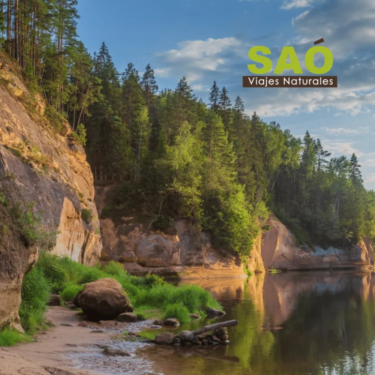 💚¡DÍA MUNDIAL DE LOS PARQUES!🌳