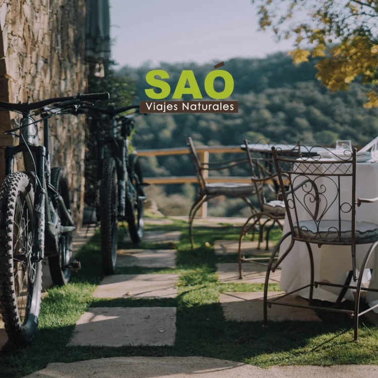 DÍA MUNDIAL DE LA BICICLETA: EXPERIENCIAS ÚNICAS PARA CELEBRARLO🚲🌿 CON SAÓ