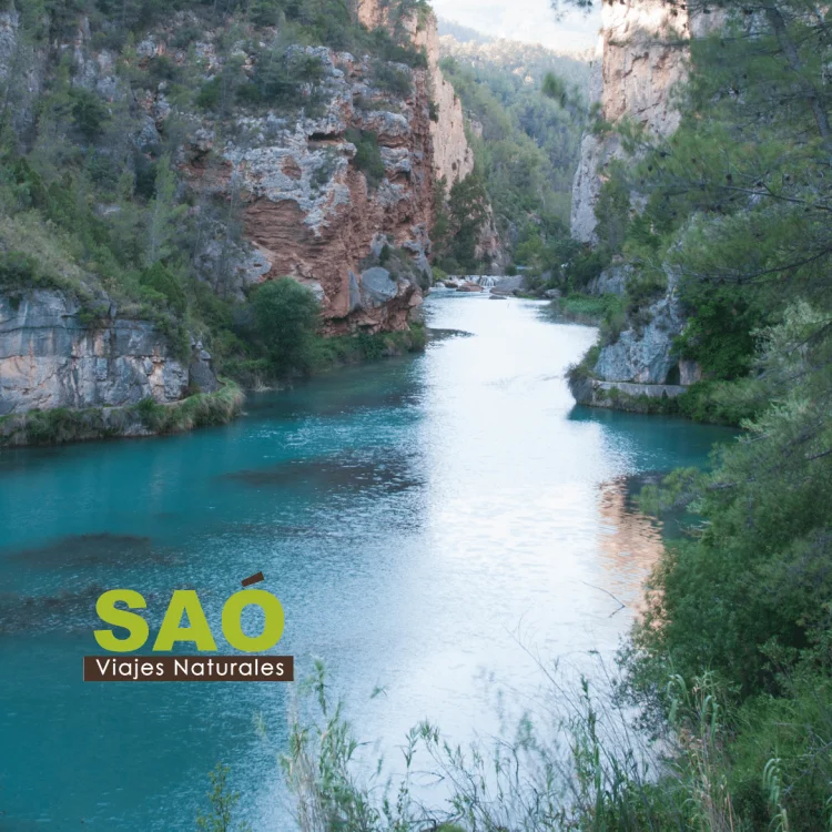 ☀ESCAPADAS TERMALES PARA EL VERANO♨