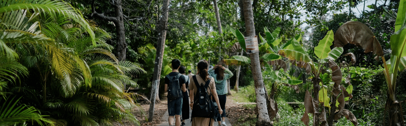 Personas paseando en el bosque