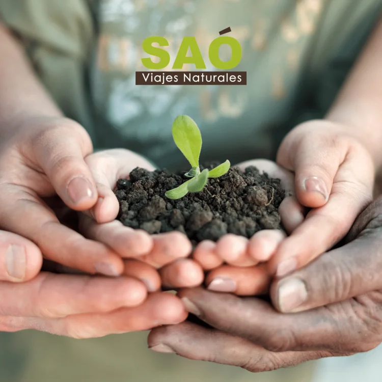 DESCUBRE 10 MANERAS DE REDUCIR TU HUELLA DE CARBONO🌿🏖️