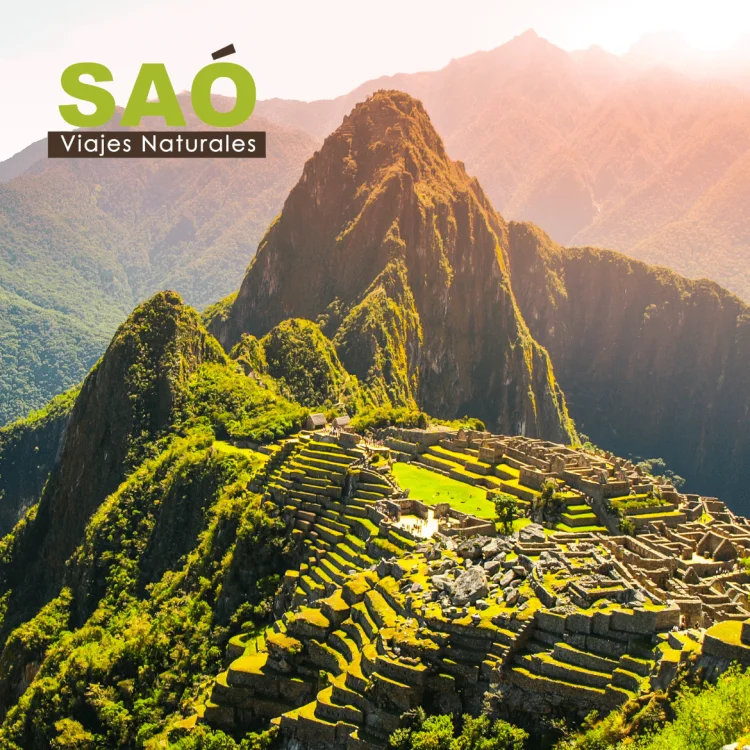 🌿DESCUBRE PATRIMONIOS DE LA HUMANIDAD CON SAÓ🌿