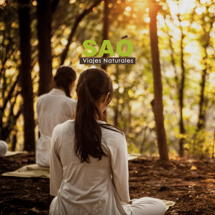 VINOYOGA: ESCAPADA ÚNICA ENTRE VIÑEDOS – SOLO EL 19 Y 20 DE JULIO 🍇✨