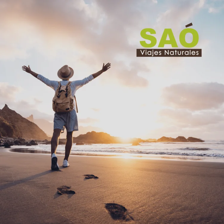 🌸4 EXPERIENCIAS TRANSFORMADORAS QUE TE CAMBIARÁN LA VIDA✨