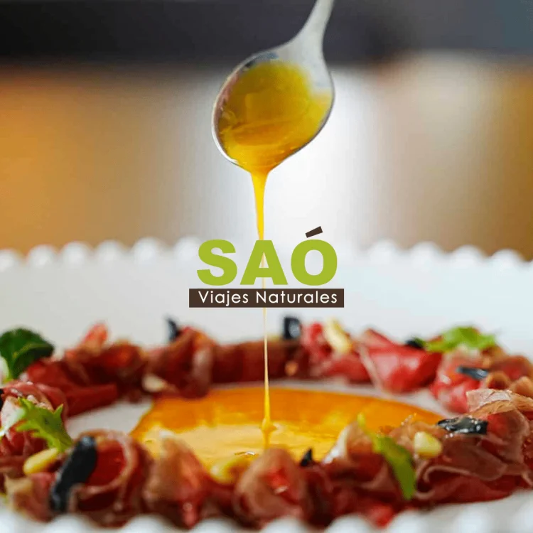 🍽DÍA DE LA GASTRONOMÍA SOSTENIBLE🌍