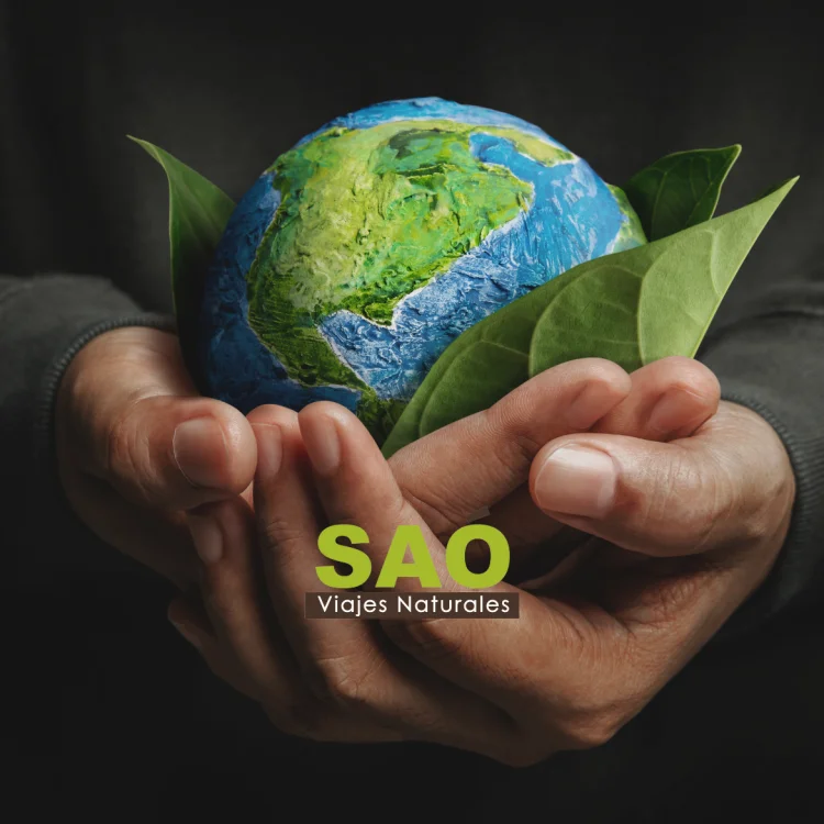 🌿 DÍA MUNDIAL DEL MEDIO AMBIENTE: VIAJA DE FORMA SOSTENIBLE CON SAÓ VIAJES