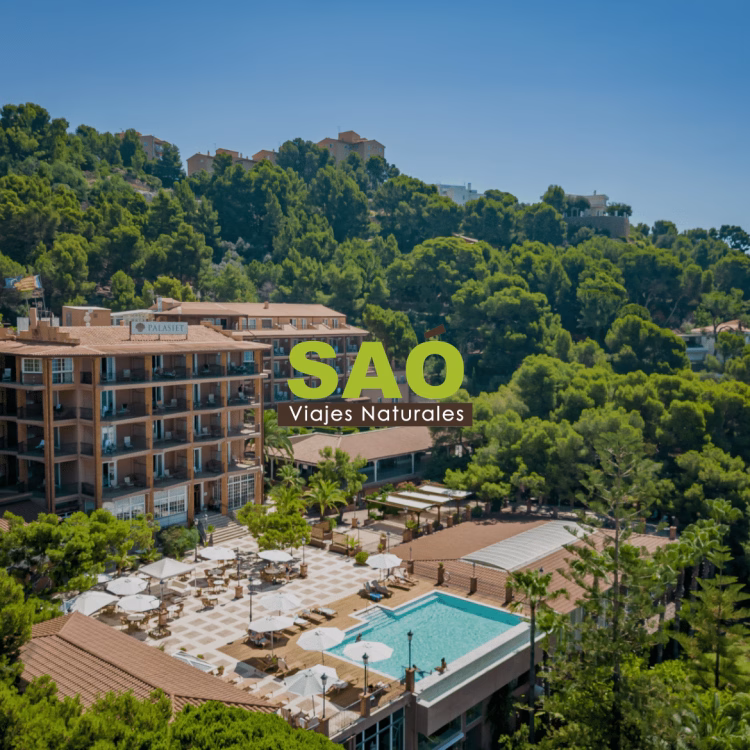 ESCAPADA EN BENICÀSSIM: DISFRUTA DE LA DESCONEXIÓN EN EL MAR MEDITERRÁNEO🧘‍♀️🌊