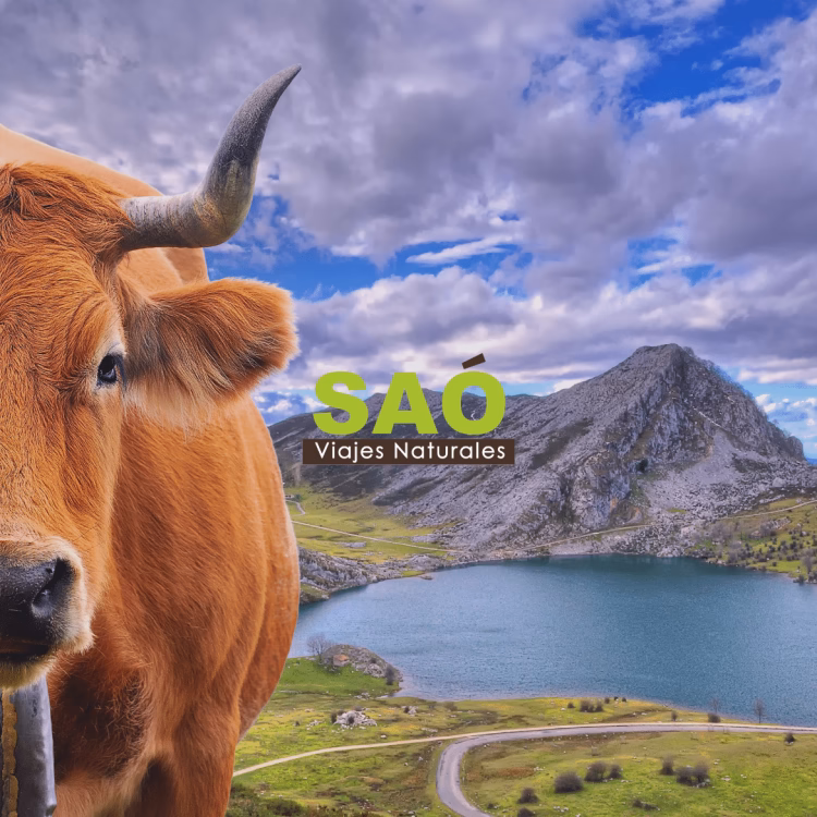 🌍 DÍA DE LOS LAGOS: VIVE UNA ESCAPADA ÚNICA EN LOS PICOS DE EUROPA