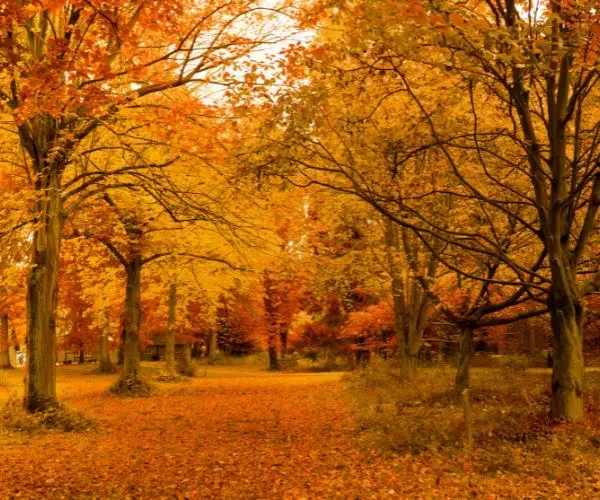 Los lugares de España más bonitos para visitar en otoño