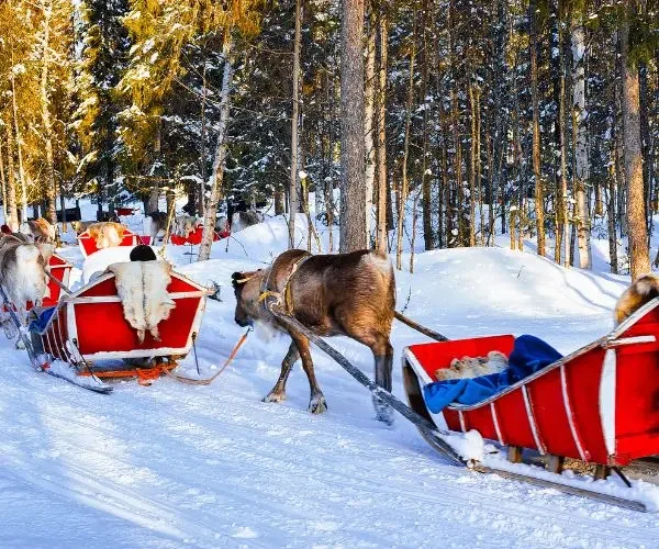 Laponia: vive la auténtica magia ártica en Rovaniemi