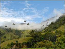 parque-nacional-nevados-colombia-sao parque-nacional-nevados-colombia-sao