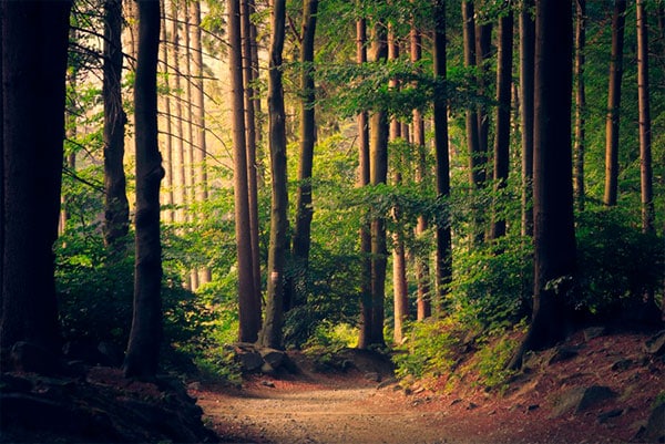 No dejes rastro en la naturaleza y ciudades | Saó Viajes Naturales