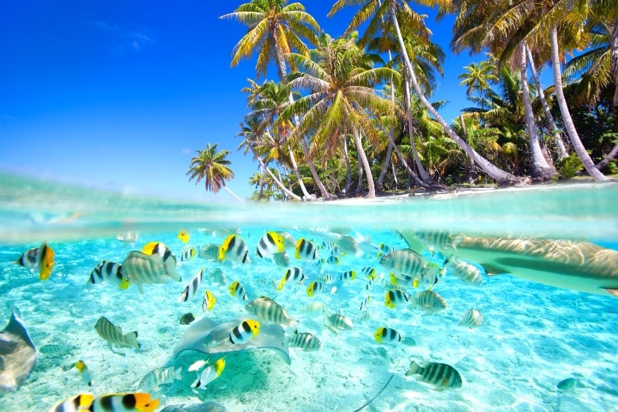 viaje-maldivas-sao-turismo
