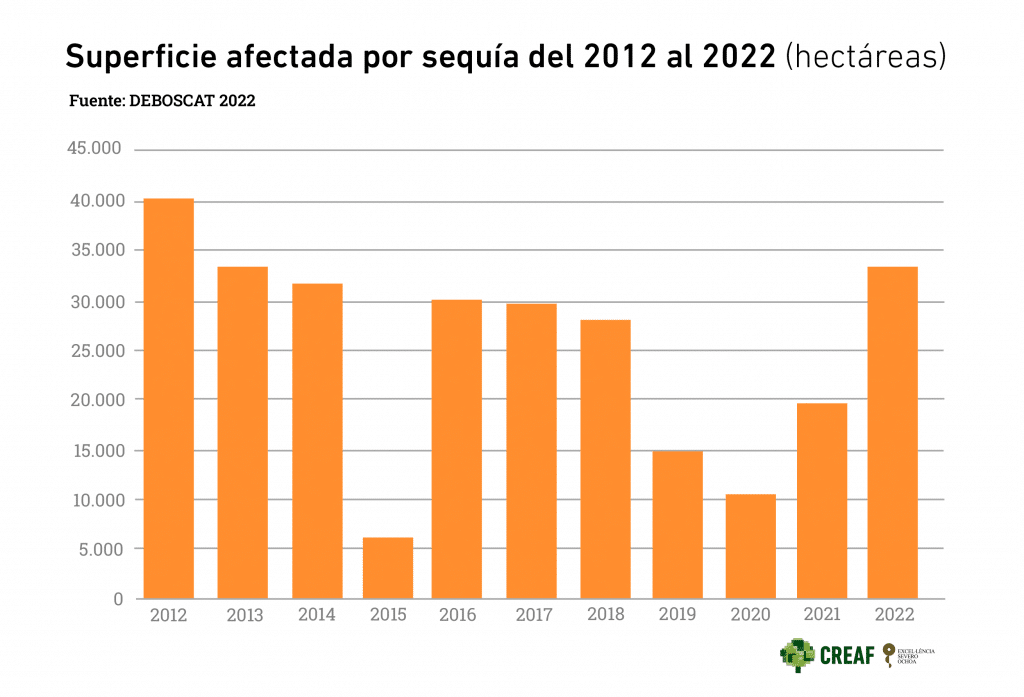 Superficie afectada por sequía del 2012 al 2022. Gráfico: Laura Fraile. Fuente: DeBosCat.