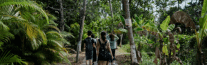 Personas paseando en el bosque